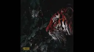 Mesani - Jungle [Full Album]