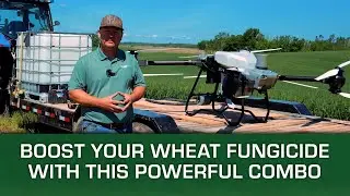 Boost Your Wheat Fungicide with This Powerful Combo | Concept AgriTek