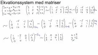 Ekvationssystem (matriser)