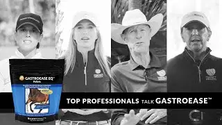 Top Equine Professionals Talk GastroEase EQ&trade; Pellets Gastric Support for Performance Horses