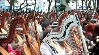 400 Arpas Paraguayas con direccion de Cesar Cataldo