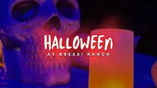 Exploring Bressi Ranch in Carlsbad, CA to see frightful, fun, and bold Halloween decorations! 