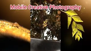 3 Mobile Creative Photography ideas at home | Instagram Viral| Creative Photography| Mobile Creative
