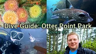 Exploring a Secret Dive Spot in Sooke BC!