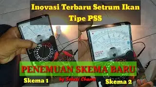 SKEMA SETRUM IKAN TIPE PSS TERBARU 2020