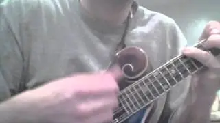 Silverangel F-Style Mandolin for Sale (SOLD)