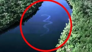 10 Deadliest River Monsters Of The Amazon