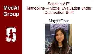 MedAI Session 17: Mandoline - Model Evaluation under Distribution Shift | Mayee Chen