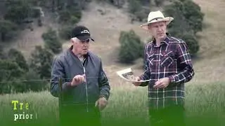 Treating Serrated Tussock together: Good neighbours