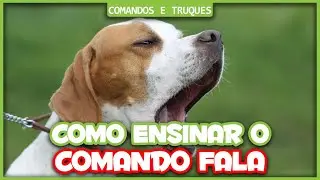 Como ensinar o comando FALA