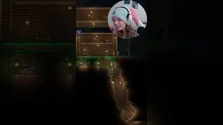 DANIEL WHY??? | Terraria  #shorts