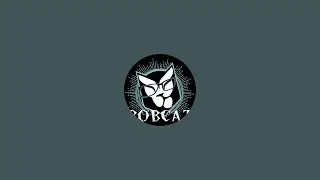 Bobcat is going live at Salt Fire Brewing, SLC rockabilly, psychobilly, power pop, garage rock