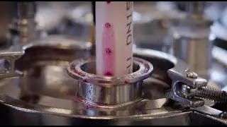 BRI Research Winery Trials