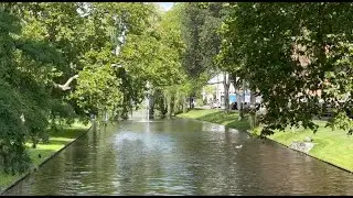 #61 Netherlands