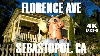 Florence Avenue in Sebastopol, CA - Wild & Fun Art Walk | Stroll Through An Outdoor Museum