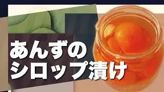 【あんずのシロップ漬け】保存方法もご紹介⏰出来上がりまで４～５時間