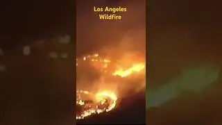 Los Angeles Wildfire: Intense Night Footage. #losangelesfire #losangeleswildfires