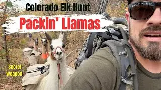 Packin’ Llamas 🦙 | Colorado Elk Hunt 2024 | 1st Rifle Season