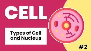 Types of Cell and Nucleus ( Hindi / Urdu )