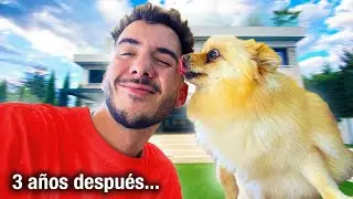 Así Están los Perros de la Epic House después de 3 años…