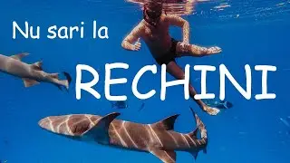 Nu sari la rechini - RubCri Vlog Ep.42