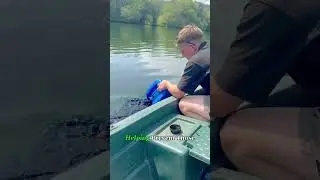 Зачем люди сливают краситель в озёра?! 😳🌊 #водоросли #чистота #краситель