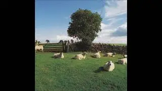 The KLF - Rock Radio Into The Nineties And Beyond