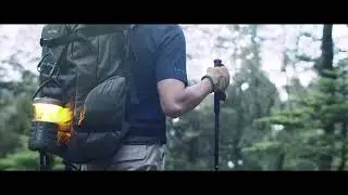 Mifa WildCamping in the Bordoro Forest