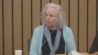Nancy Brophy takes stand for first time in her trial