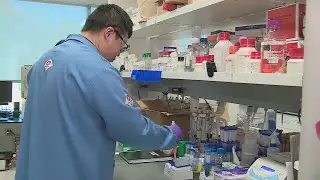 Tiny structure, big breakthrough: Drug targets blood cancer with precision