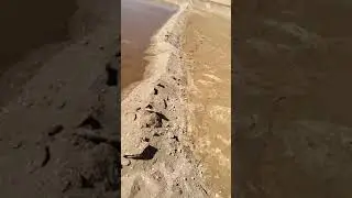 للبيع بالفرافره 15 فدان ب50الف فقط شاملة كل شي وجاهزه عالزارعه