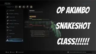 BEST AKIMBO SNAKESHOT CLASS SETUP!!