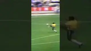 😵&zwj;💫Jairzinho The Hurricane😵&zwj;💫 #jairzinho #brasil #football