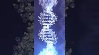 Human DNA is weird!