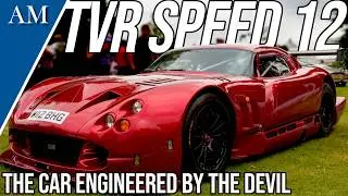 THE CAR DRIVEN BY THE DEVIL'S ACCOUNTANT! The Story of the TVR Speed 12