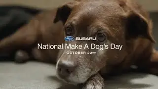 SUBARU National Make A Dog's Day 2023 Commercial