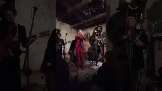 The Lettners Combo - Monkey Blues  #livemusic #guitar #rocknroll #concert #singersongwriter