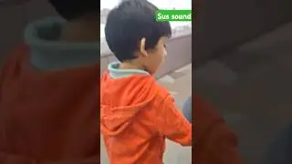 Sus sound