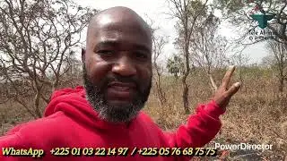 LVenez récupérer vos terrains à Yamoussoukro et payez sur 10 mois