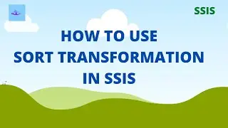 SSIS sort transformation removes duplicates | SSIS Tutorial