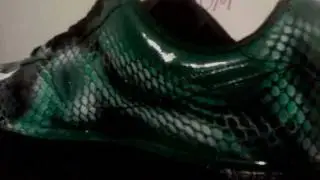 mike vick air force one