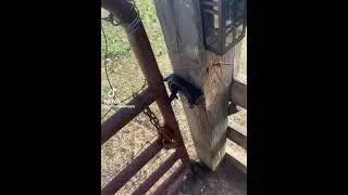 love this ideas #farmhack
