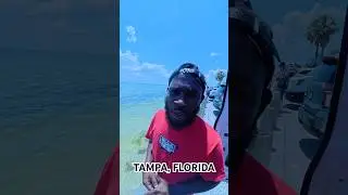 Tampa florida is full, stop moving here #tampa #florida #beach #summer #hood