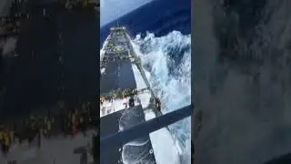Being sailor means conquering high waves and reach far land without fear! #sailor #marine #sea #fish
