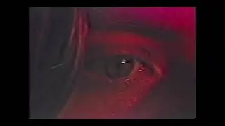 Newvicon Tube Camera | Official Test | In The Field