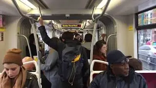 Toronto BJJ (Brazilian jiujitsu) trip