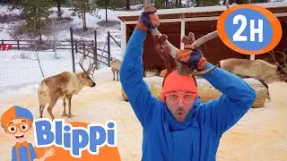Learning About Reindeer | Blippi | Kids Cartoons | Party Playtime!