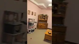 Take a tour of our store! #candy #candyshop #sweet #sweetescapes #shorts #tour