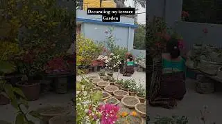 My Terrace Flower Garden | Flower Garden Overview | Flower Garden in Rooftop #flowergarden #flowers