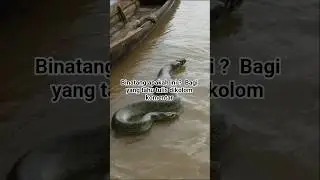 Binatang Air